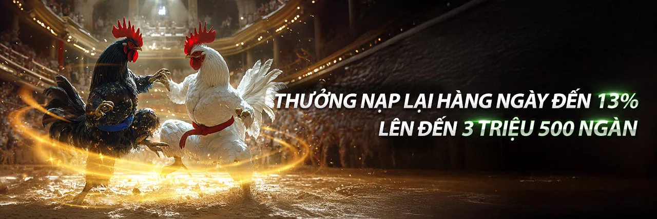 Khuyến Mãi Hấp Dẫn tại NN8 Trang Chủ