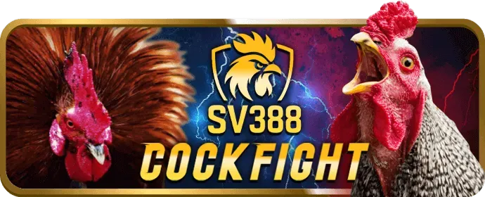Trò chơi nổ hũ và slot game tại nn8 trang chủ
